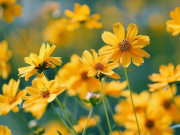 Eva tám - Người khôn ngoan biết làm ít đi 3 điều này, cuộc sống thêm nhiều điều tốt đẹp