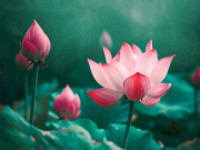 Eva tám - Chào tháng 8: Tin vào cuộc sống, tin vào chính mình, mọi điều tốt đẹp ắt đang trên đường đến!