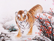Eva tám - Tử vi tuần mới 5/8-11/8: Dần giàu lên trông thấy, Tuất cảnh giác với người xung quanh