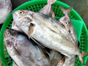 Lifestyle - Đặc sản nổi tiếng có tên rất lạ, nay dân thành phố ưa chuộng vì hương vị thơm ngon, giá đắt đỏ