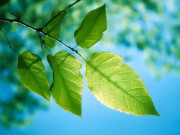 Eva tám - Sức mạnh thực sự của người khôn ngoan bắt đầu từ việc nói không với 2 chữ này