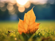 Eva tám - Người khôn ngoan biết làm 3 điều này, may mắn ắt tự nhiên đến!