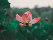 Eva tám - 3 “con át chủ bài” người khôn ngoan nhất định giữ sau khi nghỉ hưu