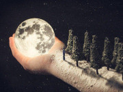 Eva tám - Trắc nghiệm tâm lý: Điều đầu tiên bạn nhìn thấy là gì?