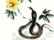 Eva tám - 3 con giáp tháng 9 giàu có không ai sánh bằng