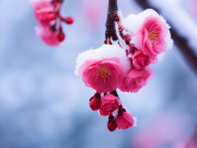 Eva tám - Cách tốt nhất để trân trọng cuộc sống nằm trong 3 chữ đừng