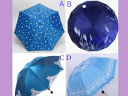 Eva tám - Trắc nghiệm tâm lý: Bạn sẽ cầm chiếc ô nào?