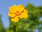 Eva tám - Người khôn ngoan biết hình phạt cao nhất là im lặng và sự trả thù mạnh mẽ nhất là 2 chữ này