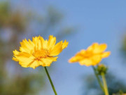 Eva tám - Quan hệ thân đến mấy, người khôn ngoan cũng tránh xa 4 kiểu tính cách này