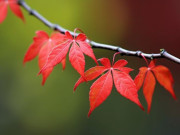 Eva tám - Khả năng lớn nhất của con người nằm trong 2 chữ