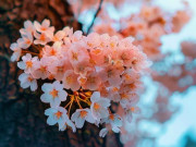 Eva tám - Người khôn ngoan không bao giờ mời 2 kiểu người này vào cuộc sống