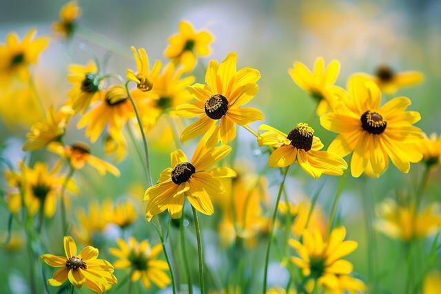 Người khôn ngoan biết làm ít đi 3 điều này, cuộc sống thêm nhiều điều tốt đẹp - 3