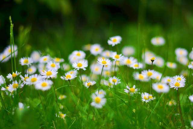 Những người biết cúi đầu, họ thường không đơn giản - 3