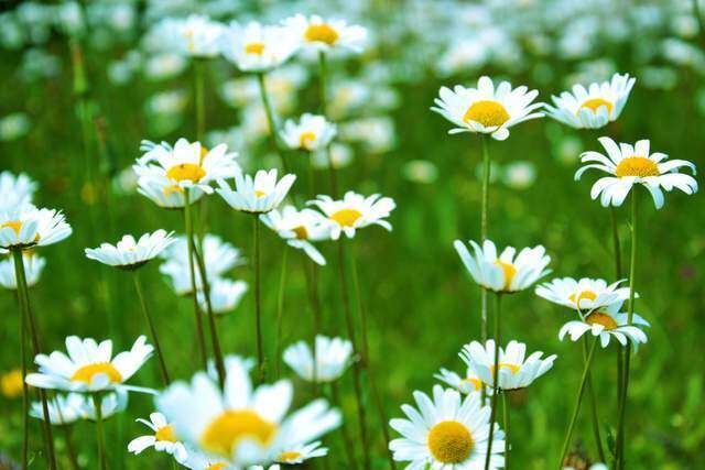 Những người biết cúi đầu, họ thường không đơn giản - 2