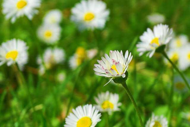 Những người biết cúi đầu, họ thường không đơn giản - 1