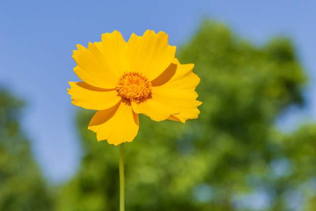 Người khôn ngoan biết hình phạt cao nhất là im lặng và sự trả thù mạnh mẽ nhất là 2 chữ này - 1