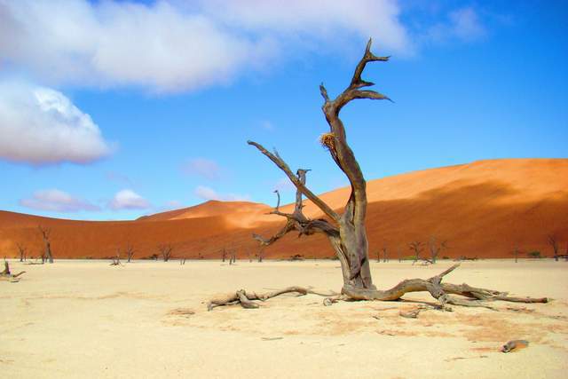 Người giàu có tránh xa 3 điều này, kẻ thiếu thốn lại tưởng đó là hay - 2