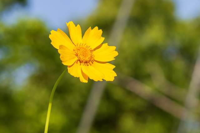 Người khôn ngoan biết hình phạt cao nhất là im lặng và sự trả thù mạnh mẽ nhất là 2 chữ này - 2