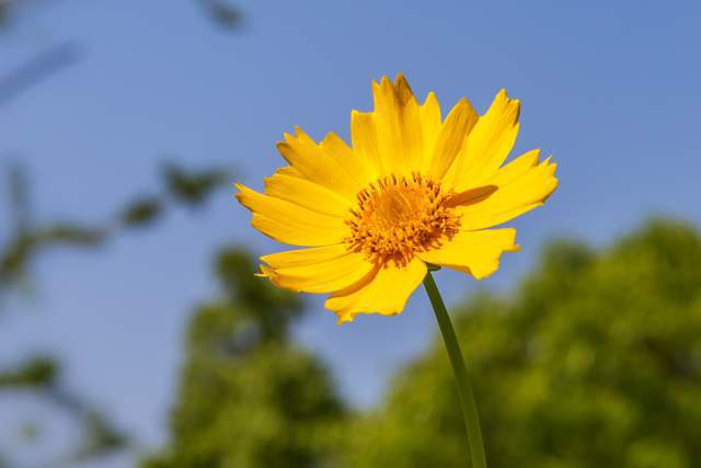 Người khôn ngoan biết hình phạt cao nhất là im lặng và sự trả thù mạnh mẽ nhất là 2 chữ này - 3