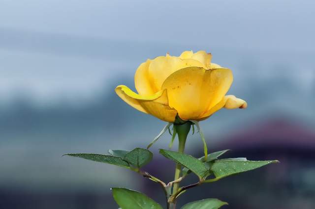 3 “con át chủ bài” người khôn ngoan nhất định giữ sau khi nghỉ hưu - 2