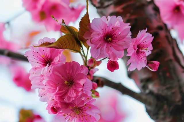 3 chân lý của cuộc đời, hiểu được sớm chính là khôn ngoan - 3