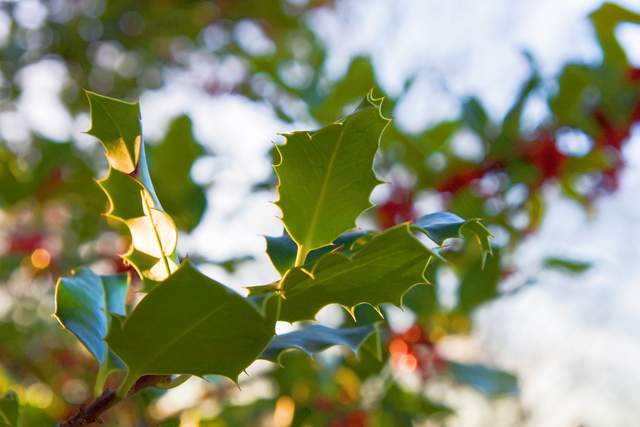 Siêng năng quyết định vận mệnh, đức hạnh thay đổi cuộc đời - 2