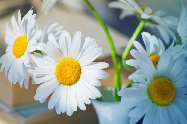 Người khôn ngoan hiểu cách sống tốt nhất gói gọn trong 2 điều này - 3