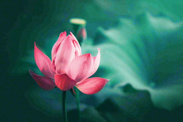 Chào tháng 8: Tin vào cuộc sống, tin vào chính mình, mọi điều tốt đẹp ắt đang trên đường đến! - 1