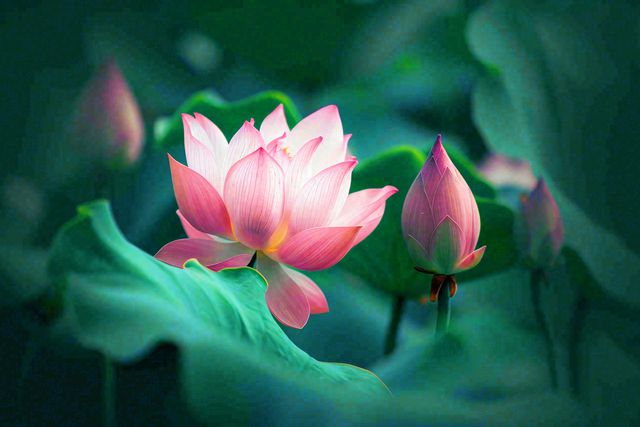 Chào tháng 8: Tin vào cuộc sống, tin vào chính mình, mọi điều tốt đẹp ắt đang trên đường đến! - 2