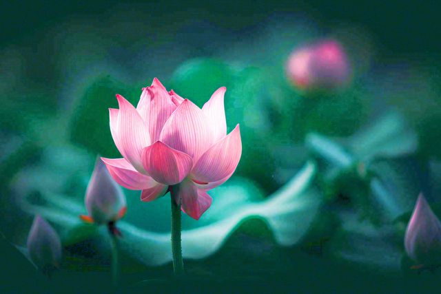 Chào tháng 8: Tin vào cuộc sống, tin vào chính mình, mọi điều tốt đẹp ắt đang trên đường đến! - 3