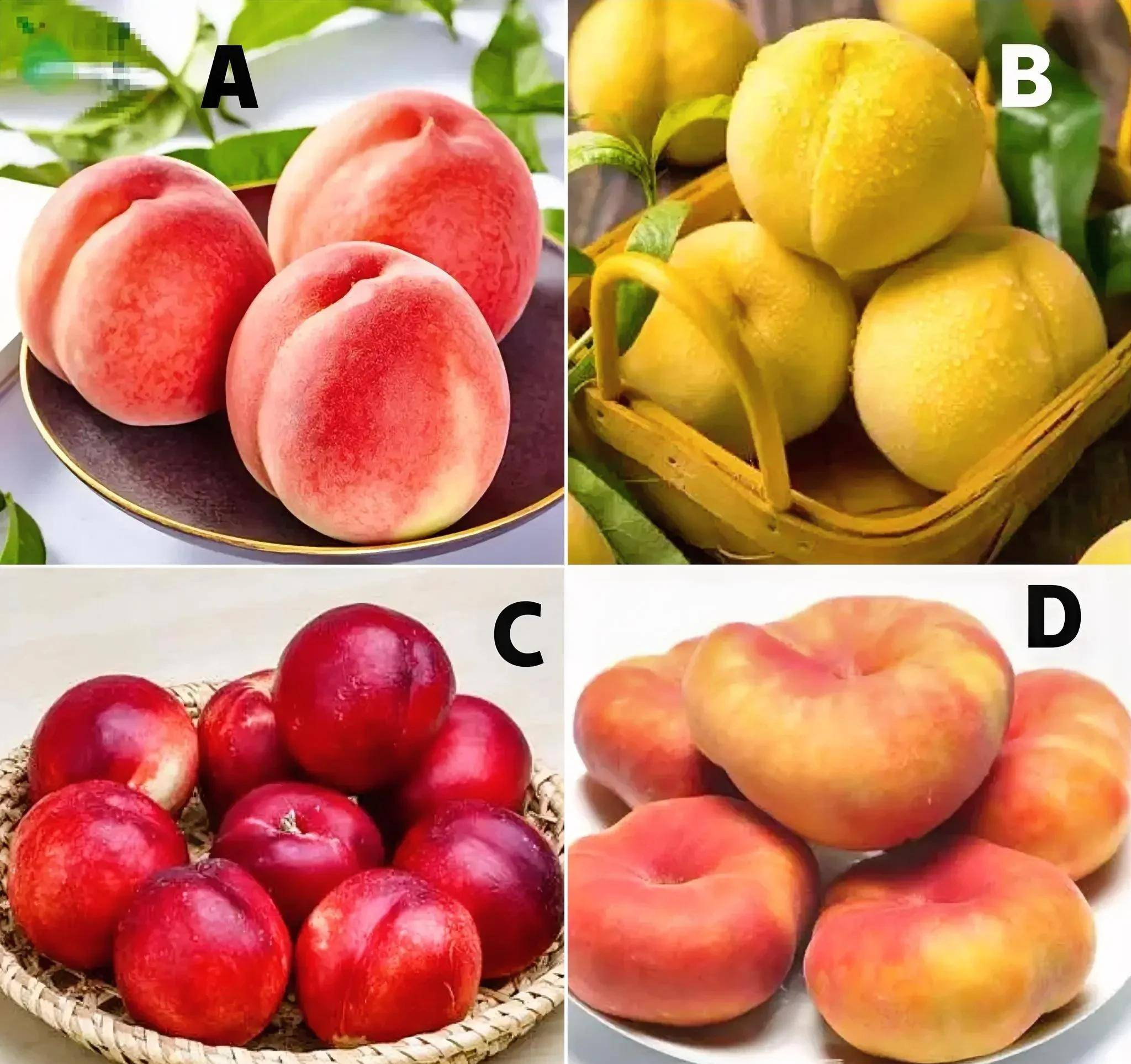 Trắc nghiệm tâm lý: Bạn sẽ ăn quả đào nào? - 1