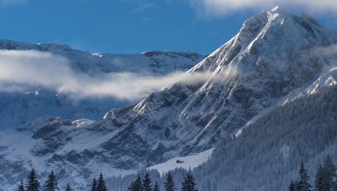 Trí tuệ cao nhất của một người gói gọn trong 2 chữ - 3