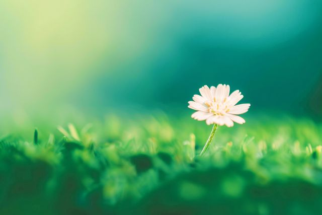 Làm ít đi 3 điều này là thêm nhiều phước lành cho cuộc sống - 1