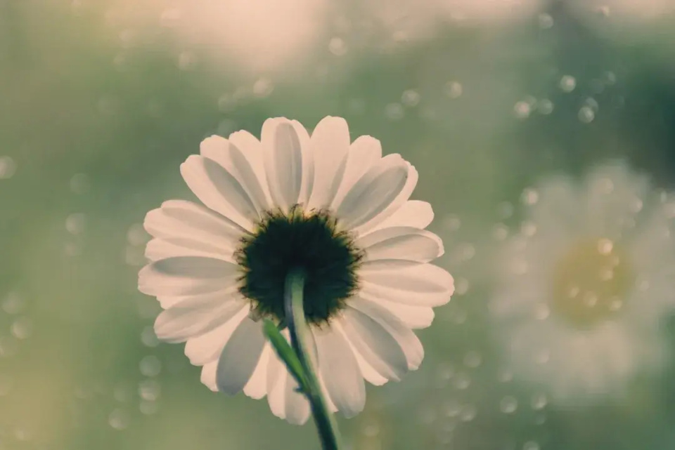 Khi không suôn sẻ nhớ 4 điều này, vận may tự nhiên kéo đến - 2