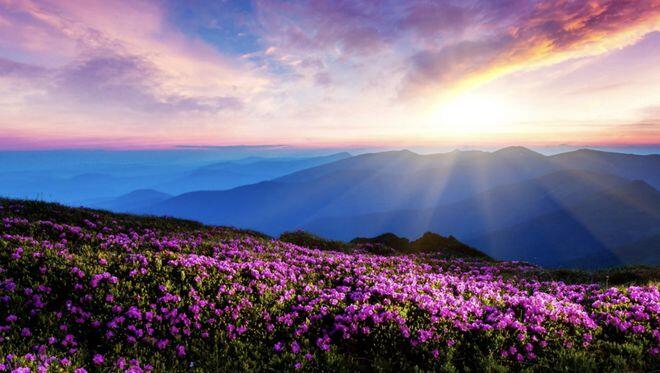 Người khôn ngoan biết 3 chìa khoá mở ra cuộc sống hạnh phúc, an yên - 1