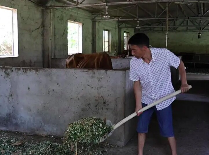 Song Xiaoping luôn là trụ cột của cả gia đình lớn. 