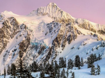 Trí tuệ cao nhất của một người gói gọn trong 2 chữ