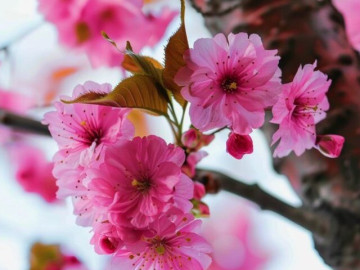 3 chân lý của cuộc đời, hiểu được sớm chính là khôn ngoan