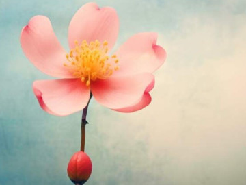 Ở đời, người khôn ngoan biết càng làm 2 chữ này thì cuộc sống càng thoải mái