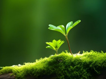 Nếu một ngày cuộc sống mệt mỏi, hãy nhớ 3 câu này
