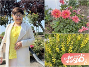 Nhà đẹp - Vợ cũ Đàm Vĩnh Hưng tận hưởng tuổi 70 trong ngôi nhà có vườn đầy hoa thơm ở Mỹ