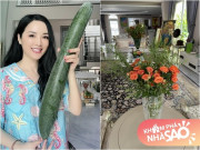 Nhà đẹp - Hoa hậu Giáng My khoe nhà từ trong ra ngoài, khu vườn biệt thự vài ngày đã thành "rừng" tươi tốt