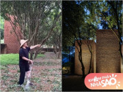 Nhà đẹp - Biệt phủ rộng 5.000m2 với nhiều cây cối của "Vua hài" Xuân Hinh giờ ra sao sau trận bão Yagi?