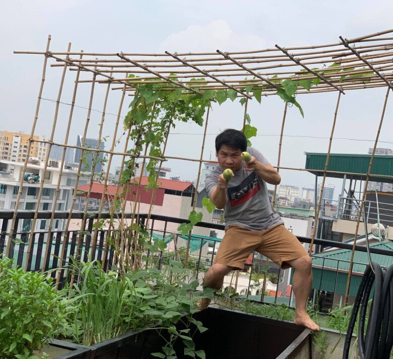 Trước đó, Trọng Tấn nhiều lần chia sẻ thu hoạch cây trái trong khu vườn trên sân thượng, từ ổi, dưa lưới…