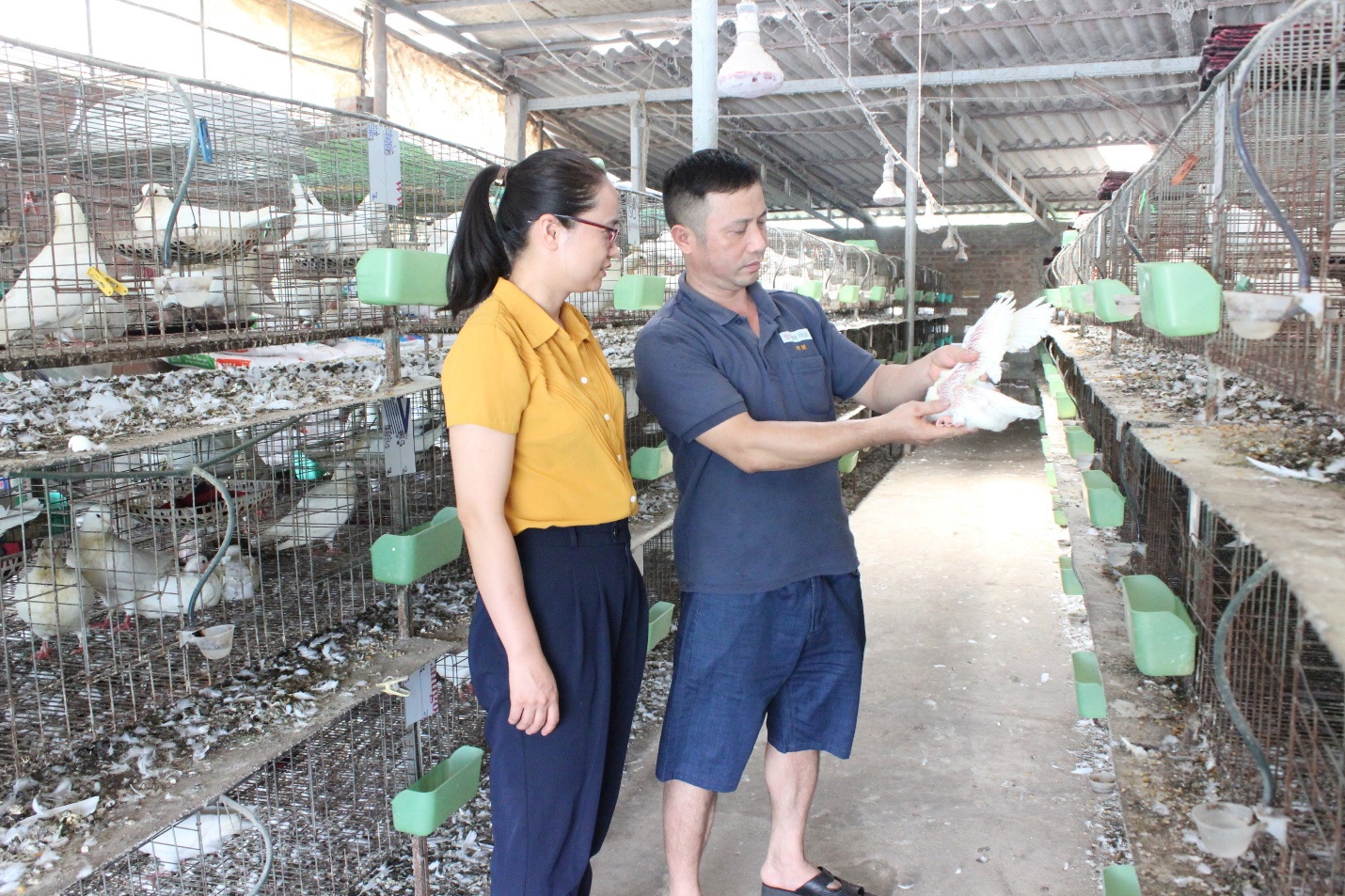 Chị nông dân ở Thanh Hóa thoát nghèo nhờ nuôi con vật amp;#34;ăn, chơiamp;#34; trong lồng rồi đẻ, bỏ túi 200 triệu đồng/năm - 2