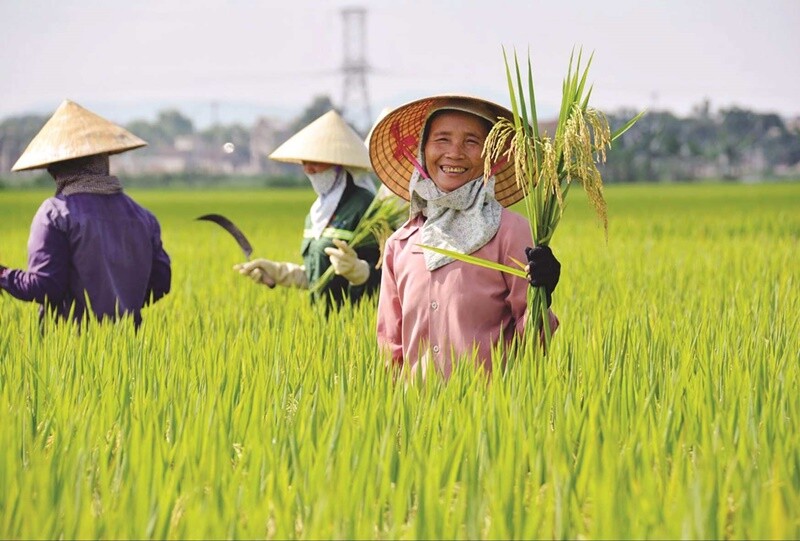 Hình ảnh chân lấm tay bùn của những người nông dân vẫn ngày đêm "bán mặt cho đất, bán lưng cho trời" để tạo ra hạt gạo thật đáng trân trọng. Họ giống như một “kỹ sư nông nghiệp” với nét đẹp đặc biệt nơi ruộng đồng. 
