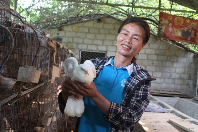 Chị nông dân ở Thanh Hóa thoát nghèo nhờ nuôi con vật amp;#34;ăn, chơiamp;#34; trong lồng rồi đẻ, bỏ túi 200 triệu đồng/năm - 3