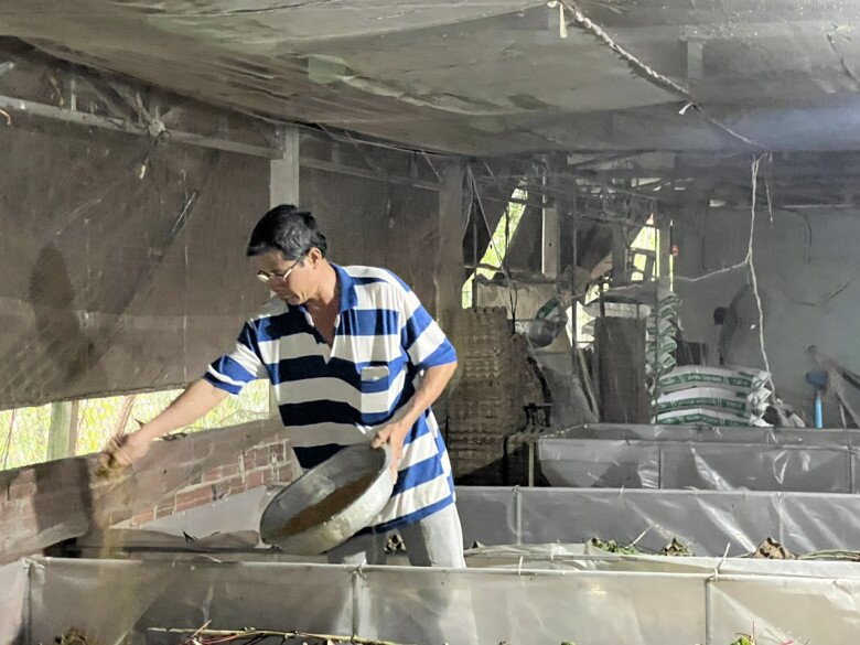 Nuôi loài vật tí hon lại kêu vang nhà, anh nông dân ở Vĩnh Long nhẹ nhàng thu lãi 500 triệu đồng/năm - 4