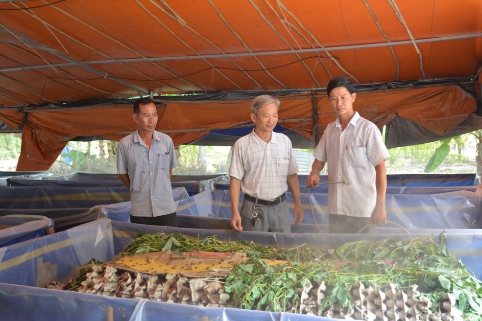 Nuôi loài vật tí hon lại kêu vang nhà, anh nông dân ở Vĩnh Long nhẹ nhàng thu lãi 500 triệu đồng/năm - 5
