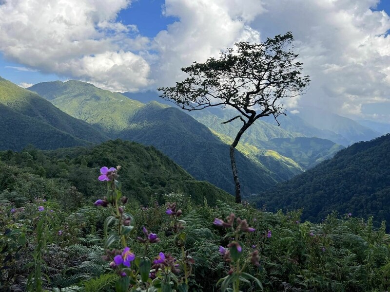 Pusilung (Lai Châu) là đỉnh núi cao thứ 2 ở Việt Nam, được gọi là “nóc nhà của biên giới” với độ cao 3.083m. Đây là một trong những ngọn núi mà chúng ta sẽ phải dành nhiều thời gian để chinh phục do quãng đường đi rất dài, dài nhất trong các ngọn núi thuộc top 10.